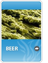 icon_beer.png